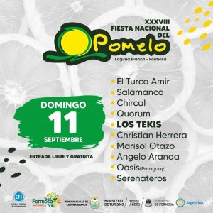Grilla Fiesta de Pomelo 3