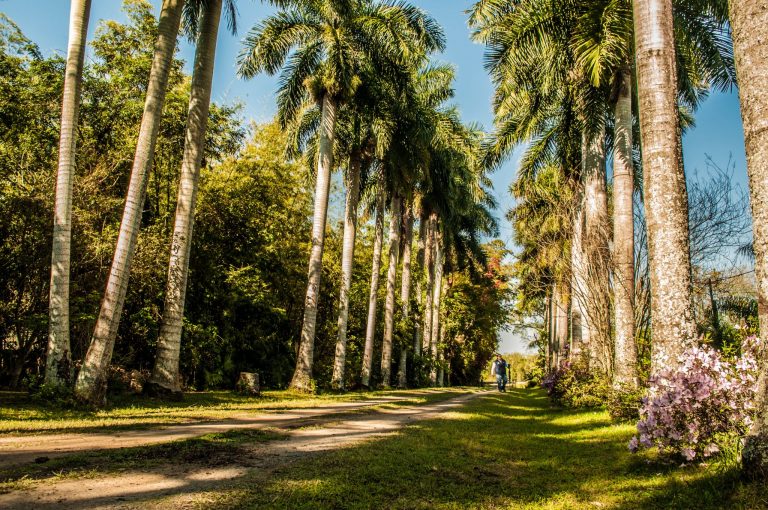 Herradura - Portada(4)