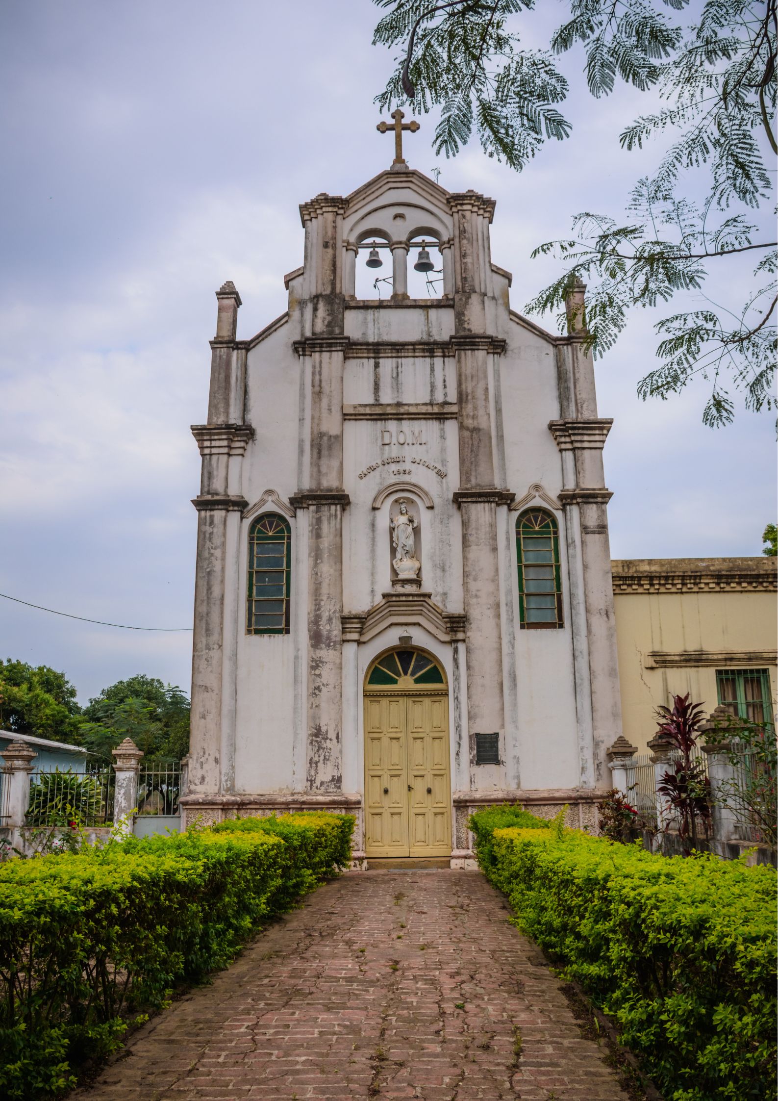 tr-franciscana-laishi-1 (3)