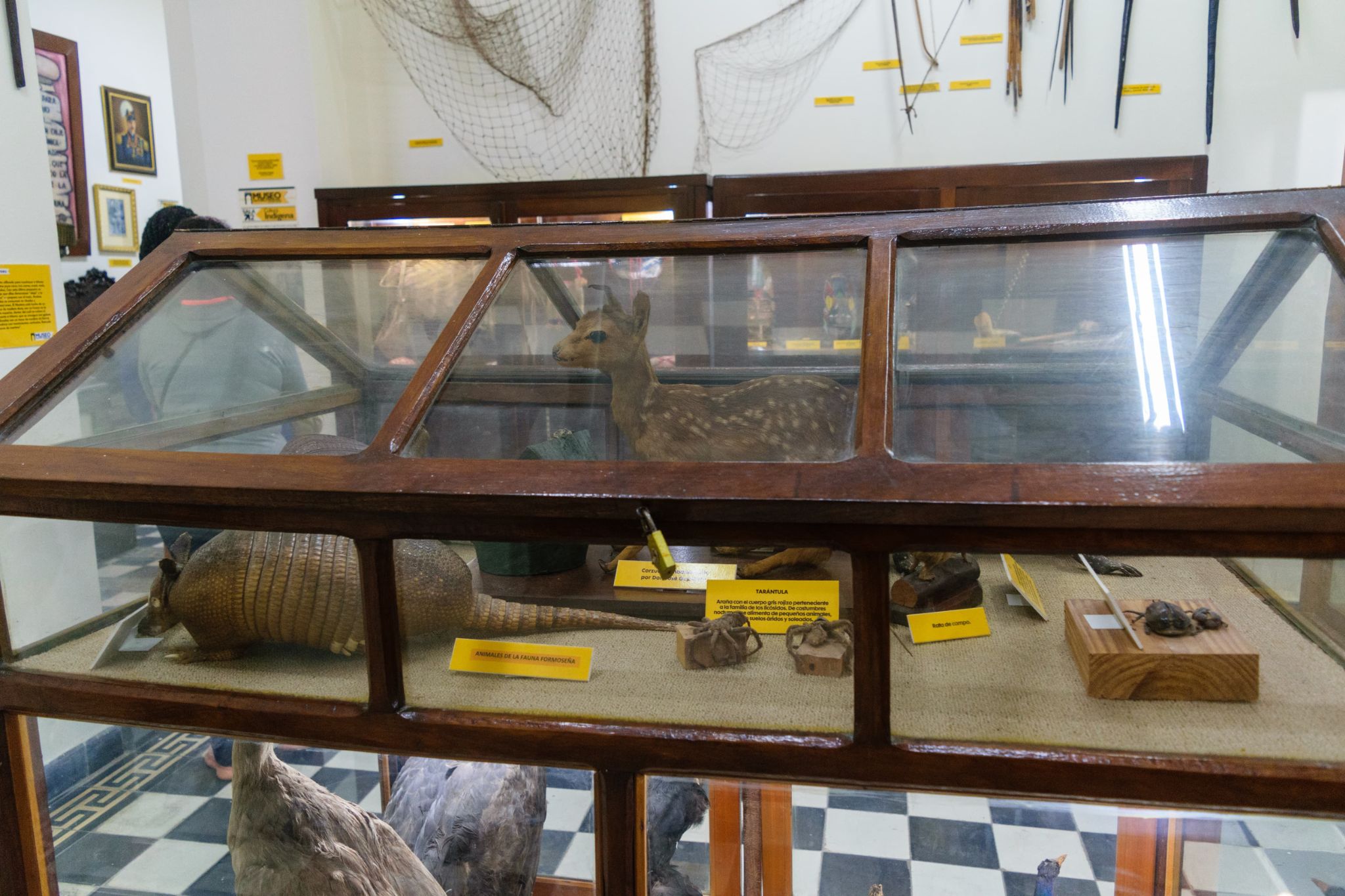 museo-duffard (8)