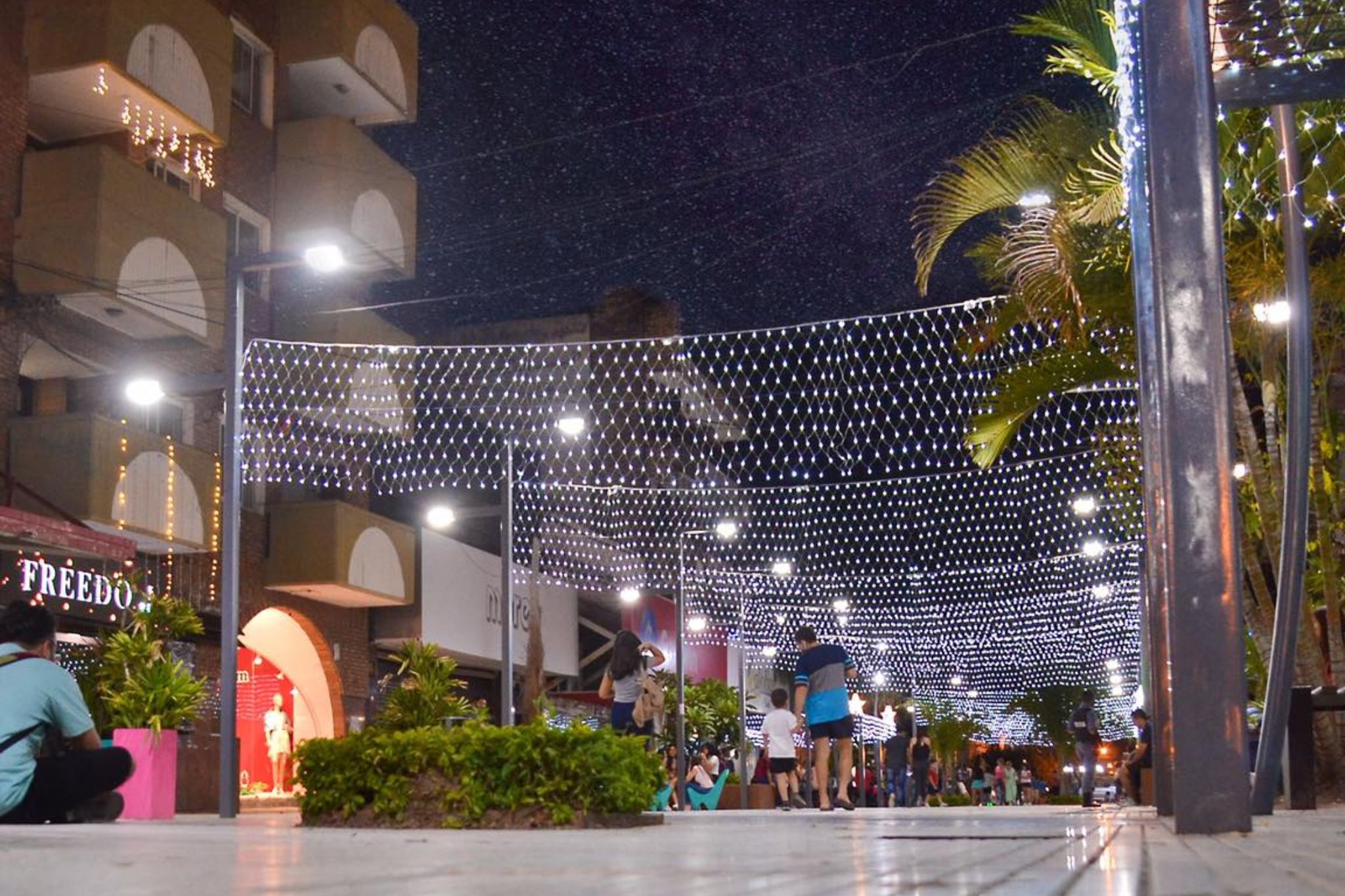 peatonal (3)