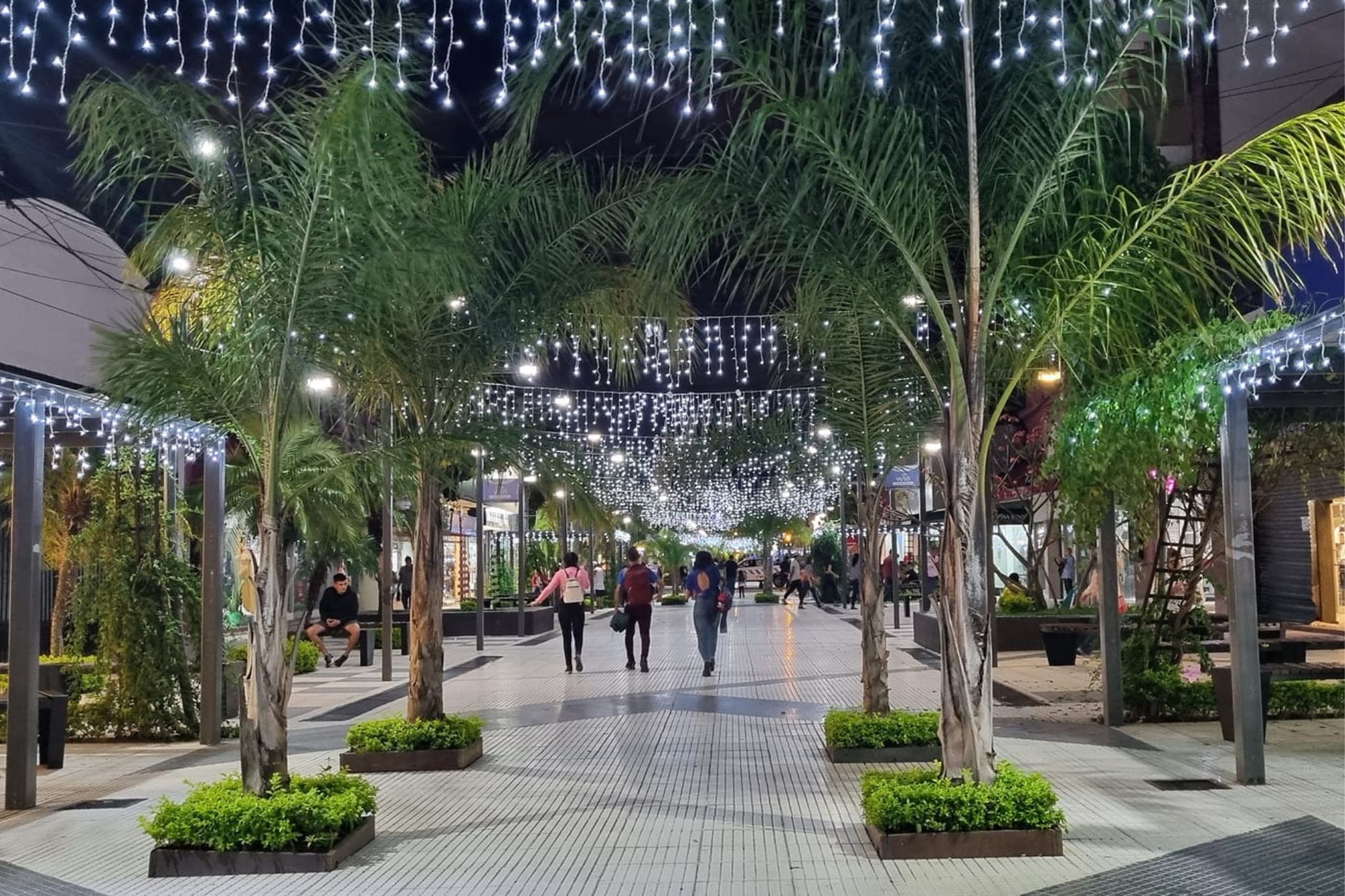 peatonal (5)