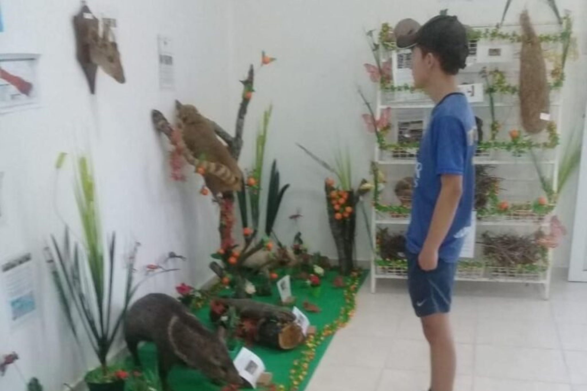 museo-ibarreta
