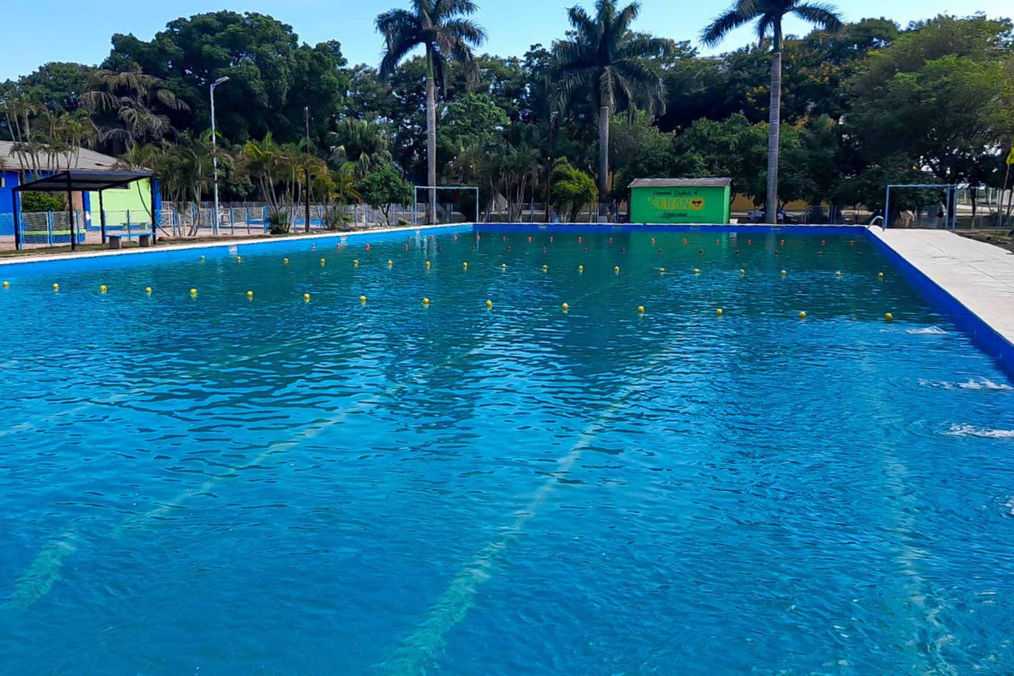 pileta-olimpica-laguna-blanca (4)