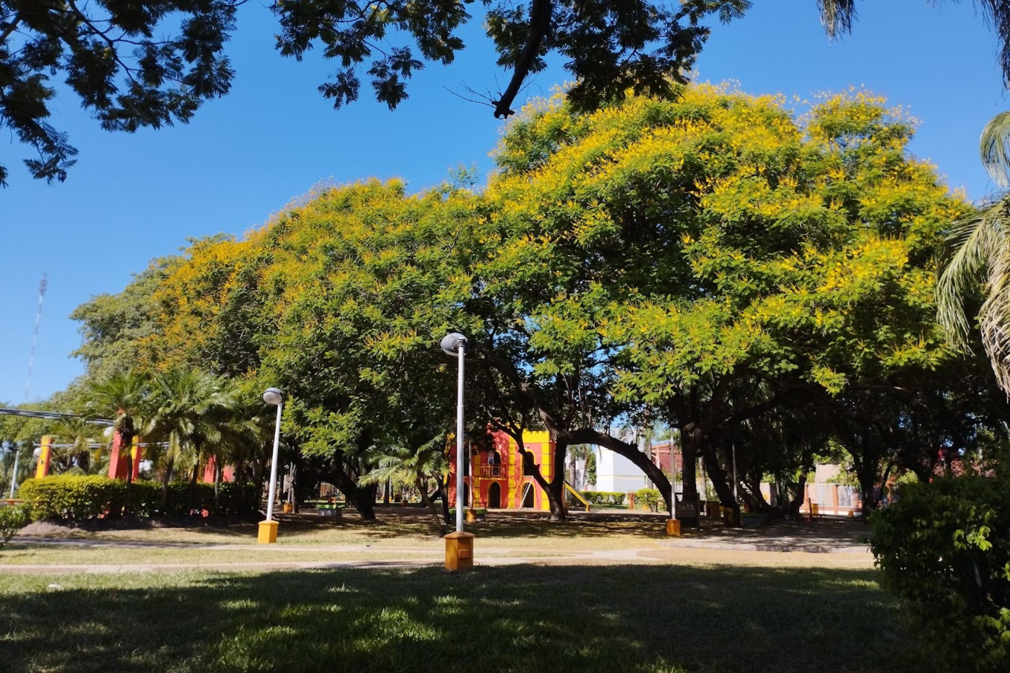 plaza-tematica