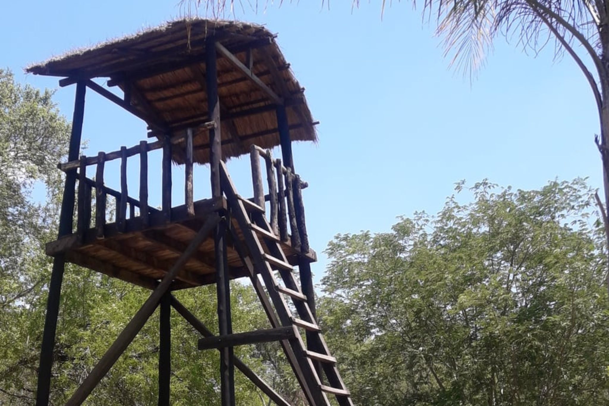 camping-iwoka (4)