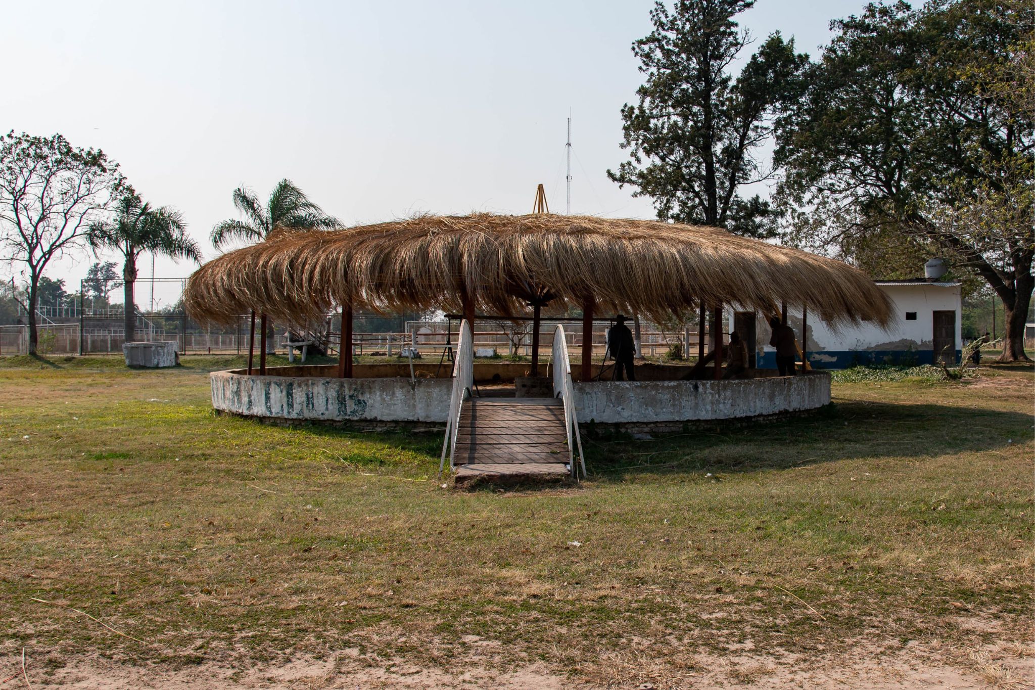 camping-mansilla(2)