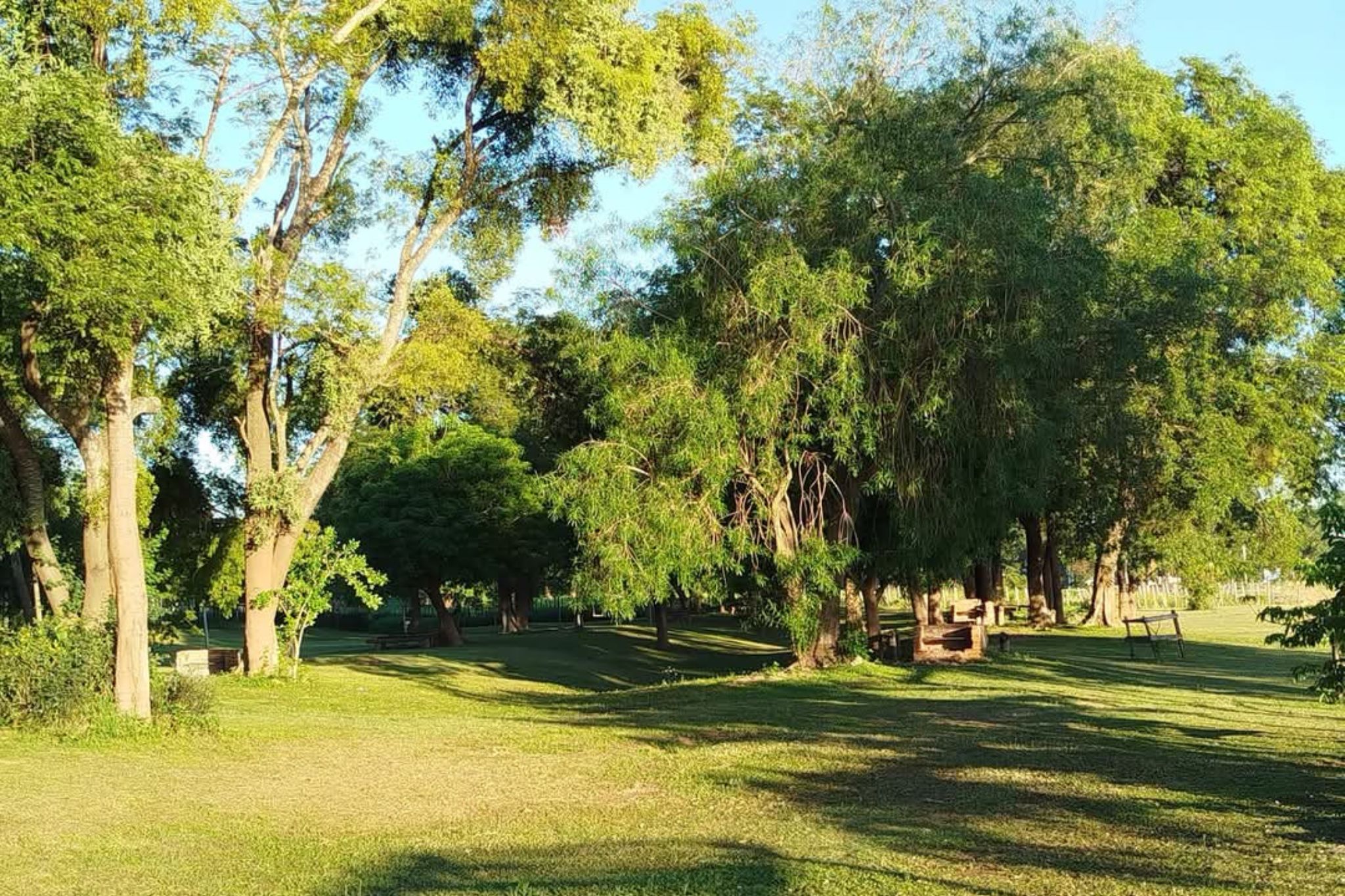 paseo-la-molina (2)