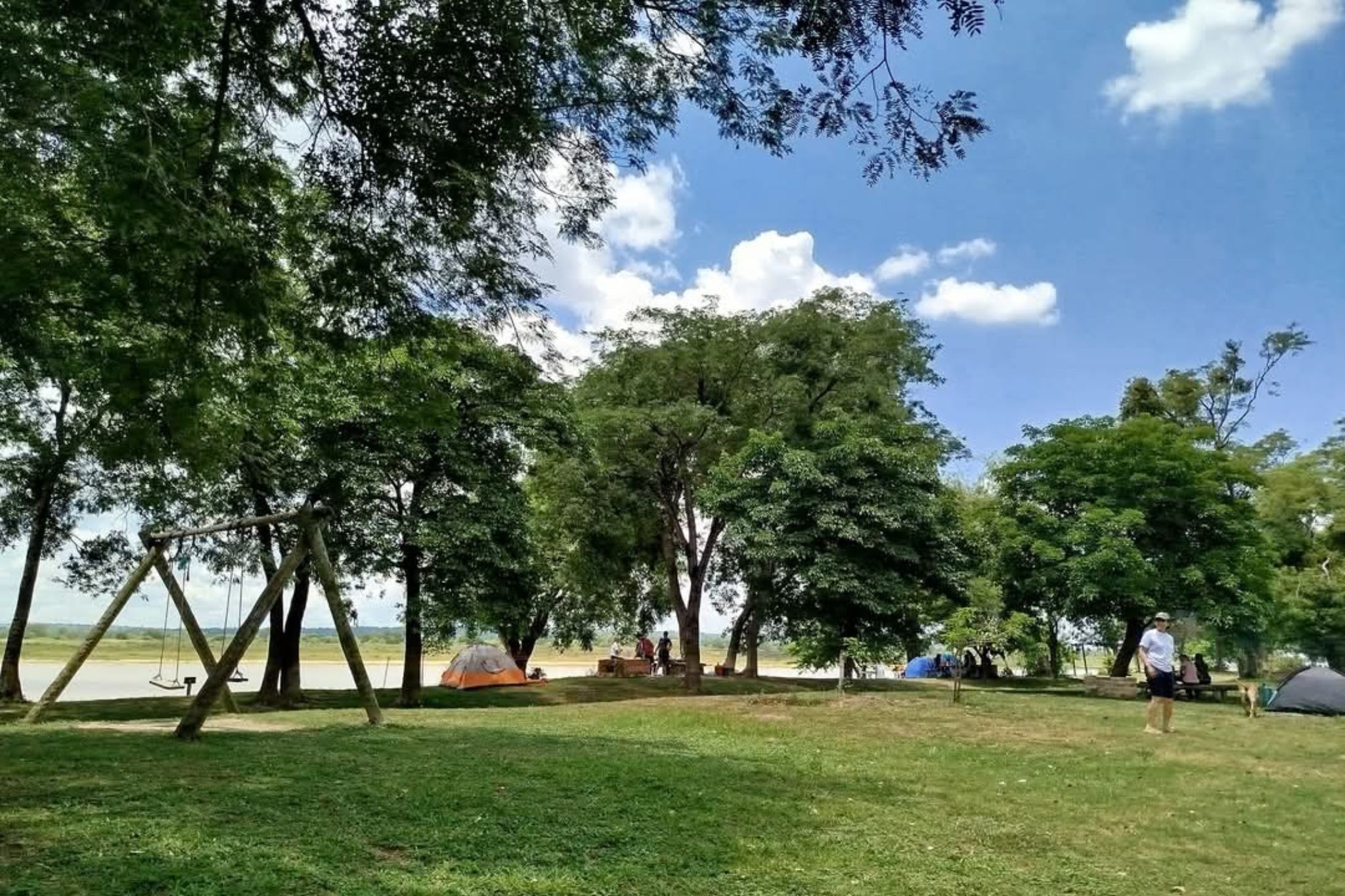 paseo-la-molina (3)