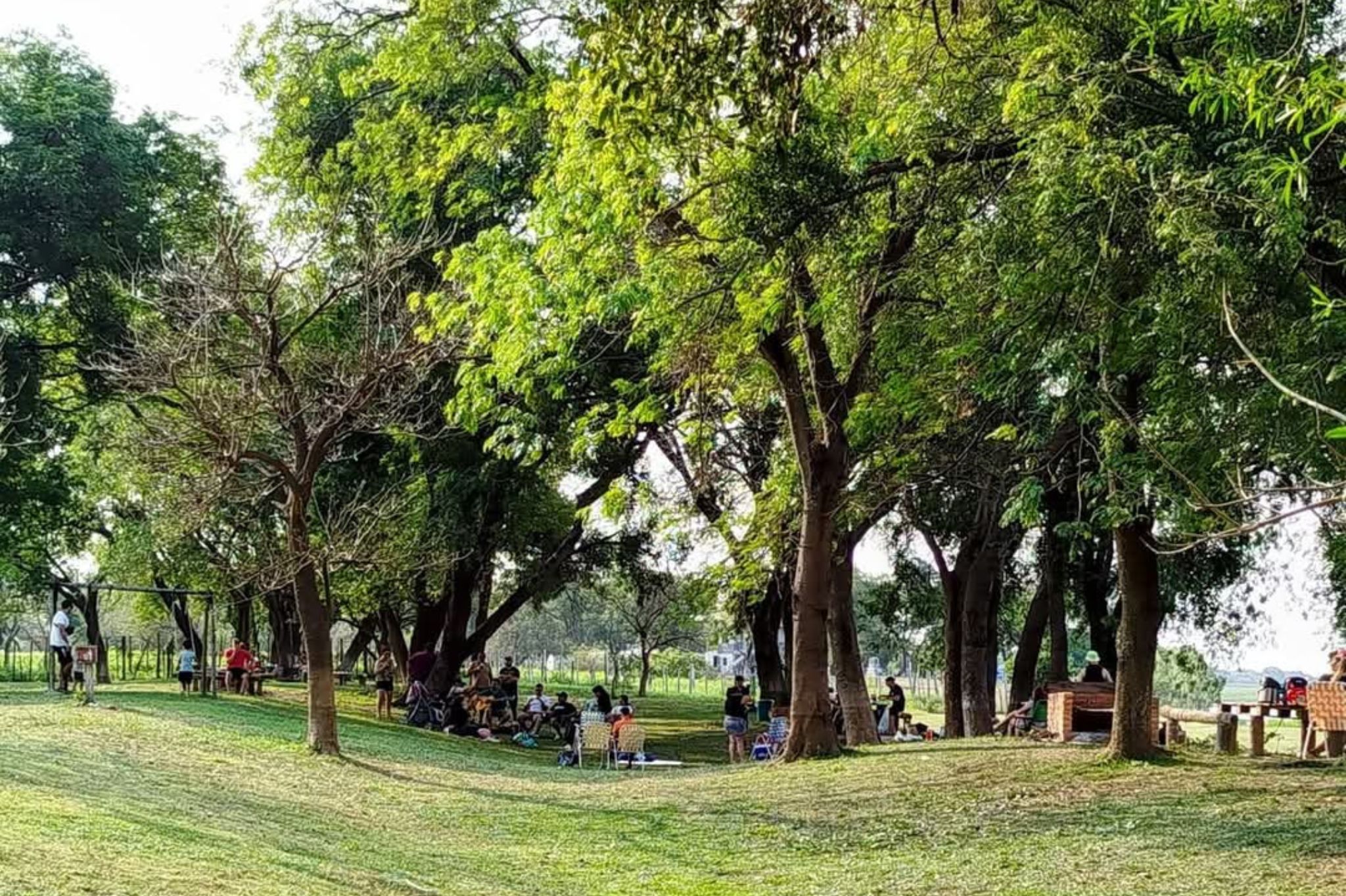 paseo-la-molina (5)
