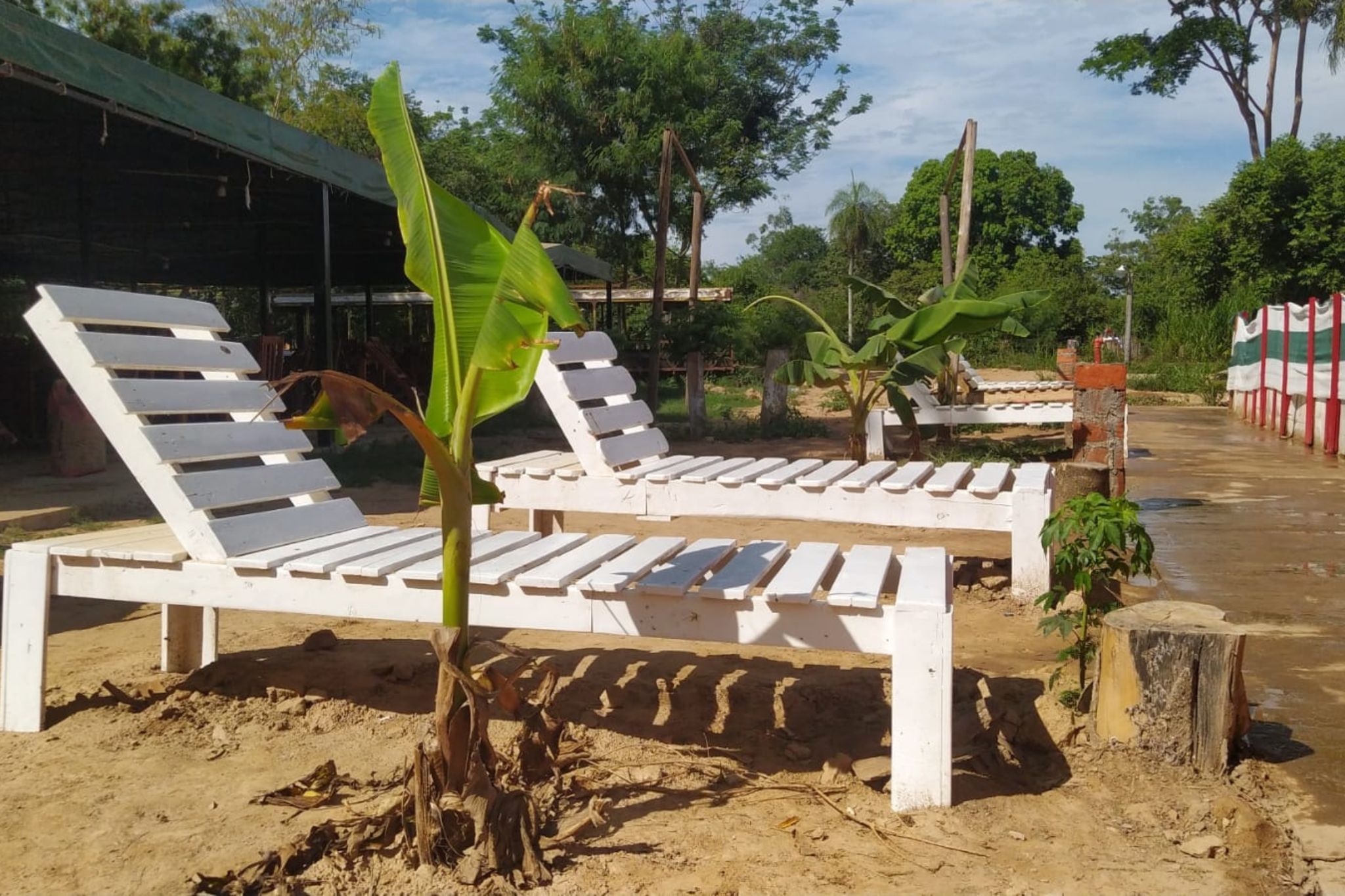 camping-caperucita-roja (9)