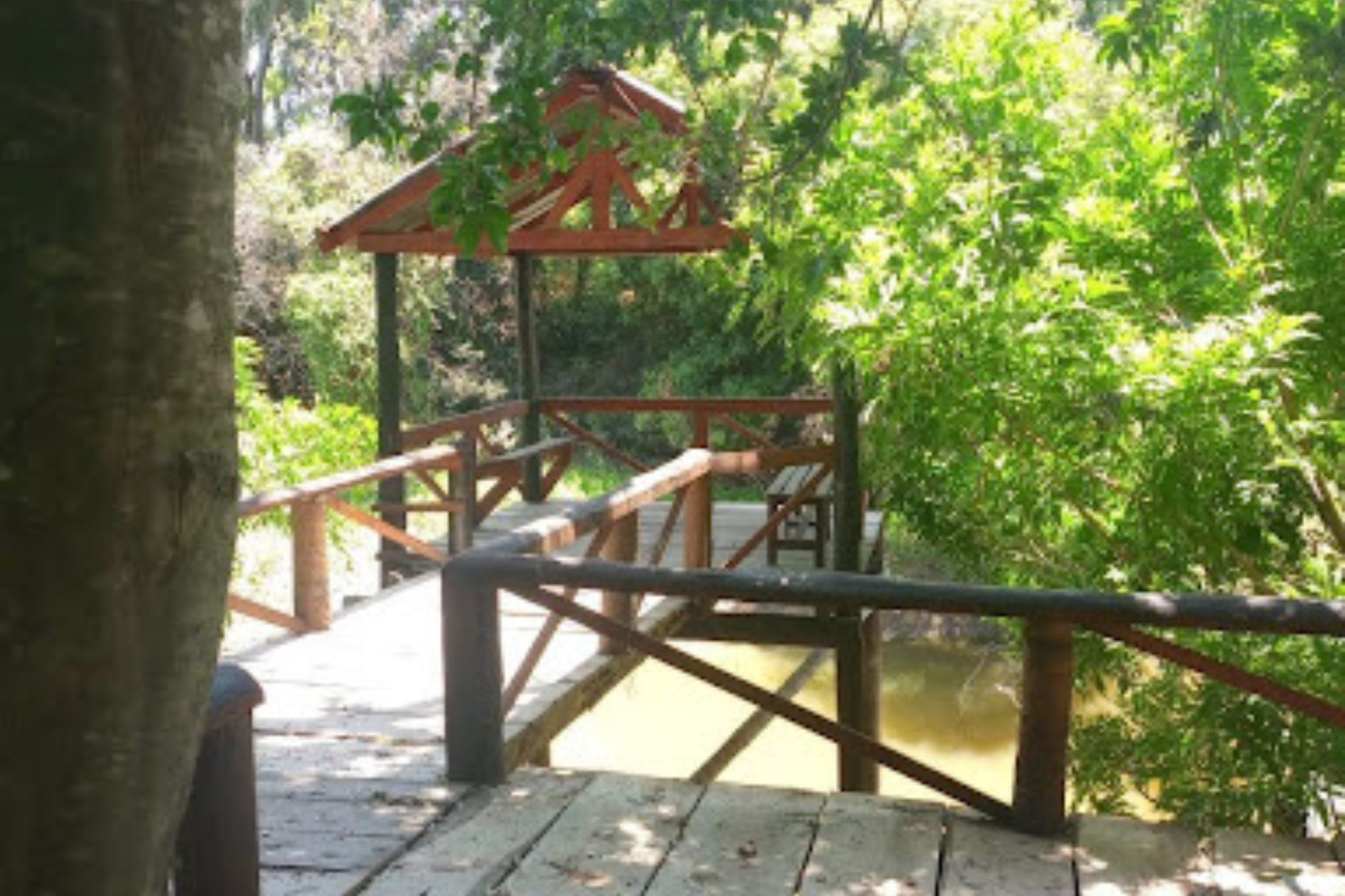 laguna-naineck