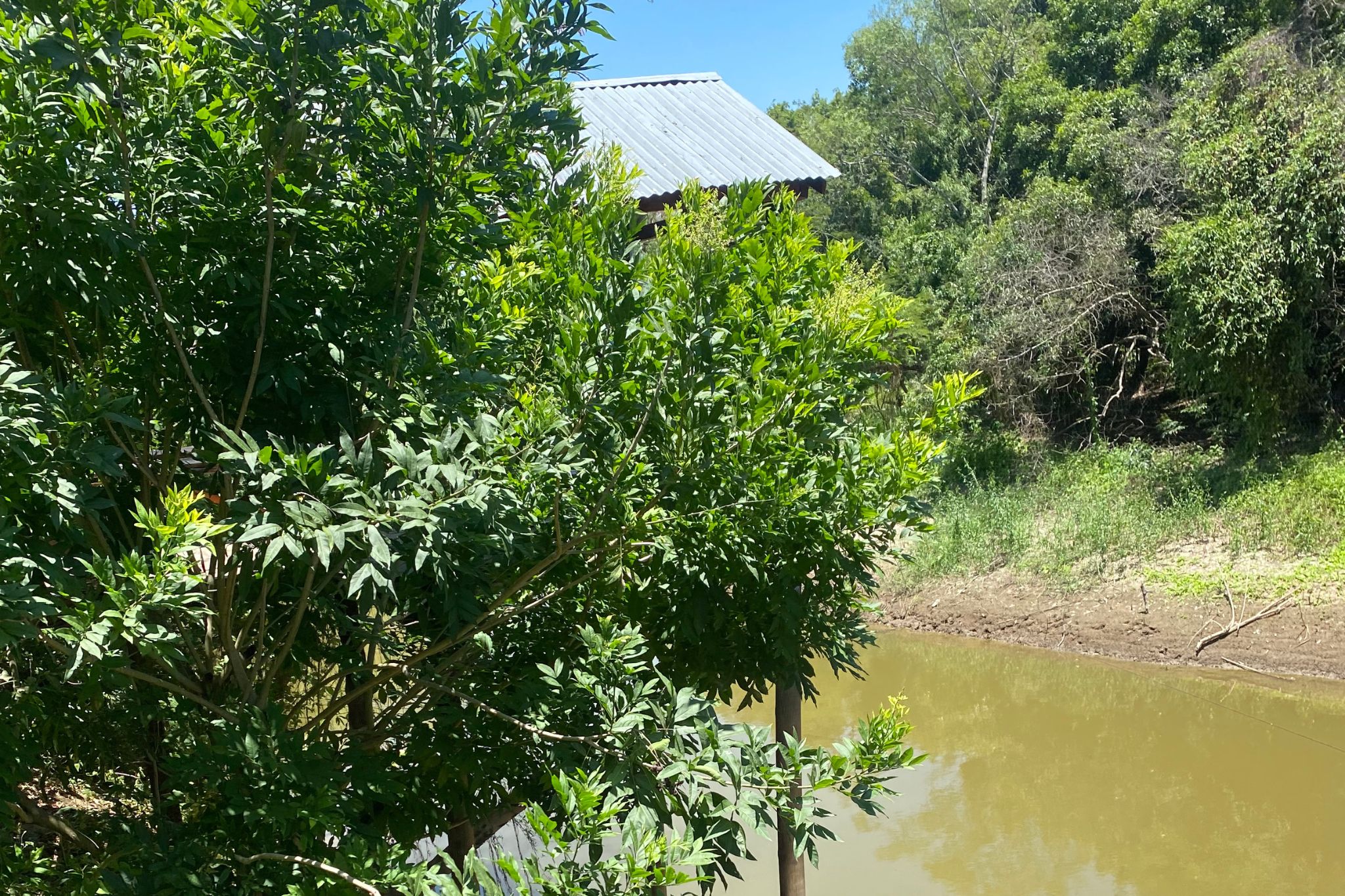 laguna-naineck (4)