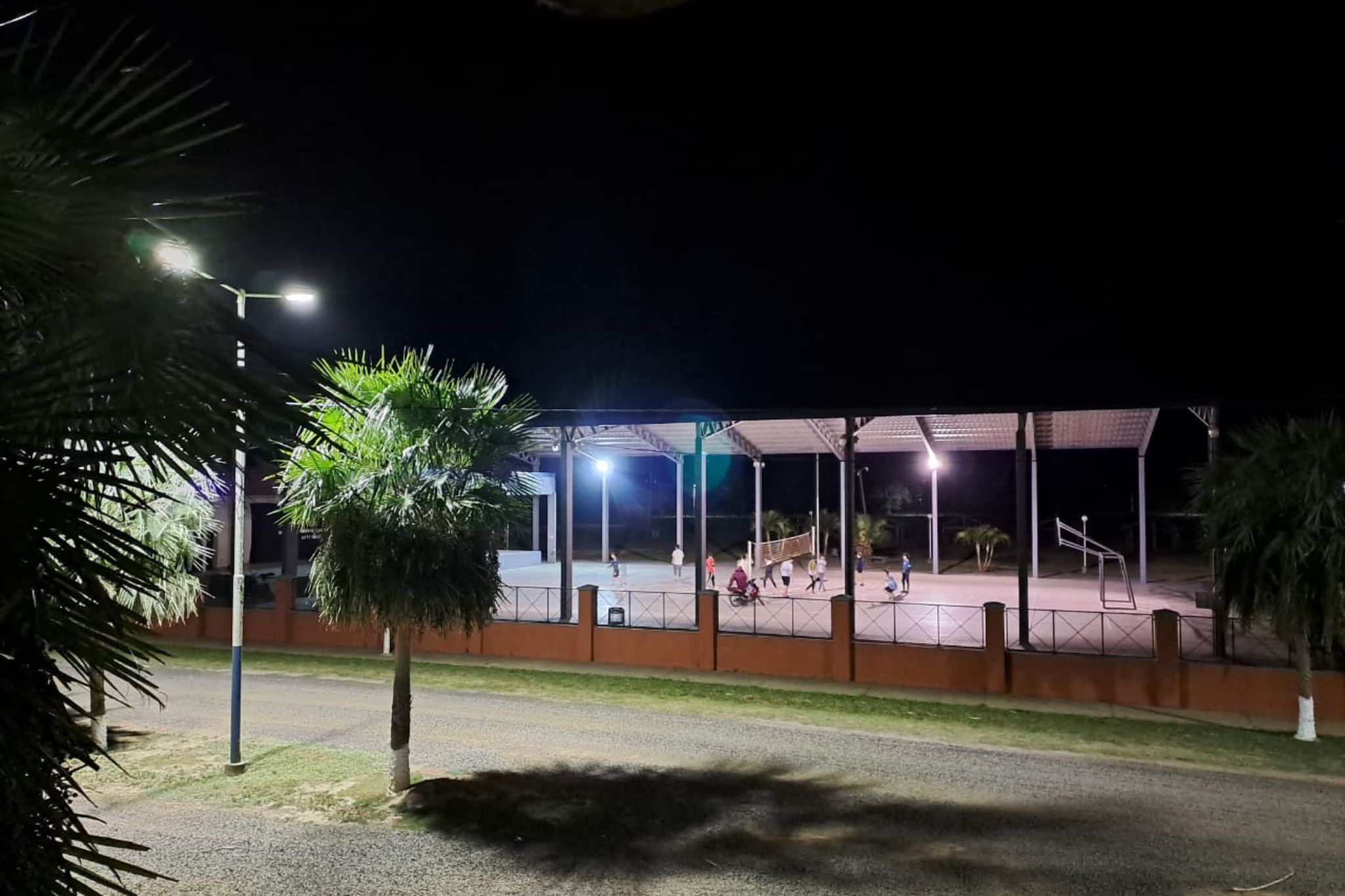 siete-palmas (4)