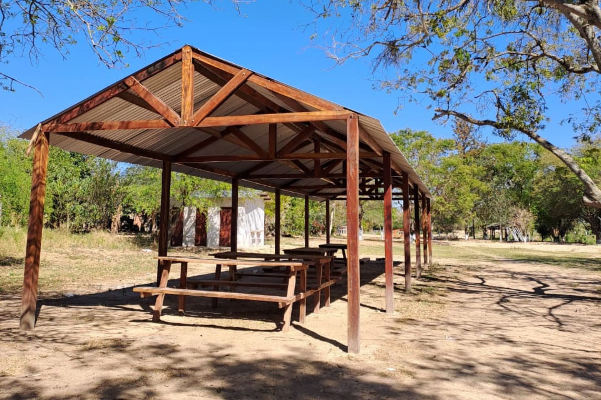 siete-palmas (8)