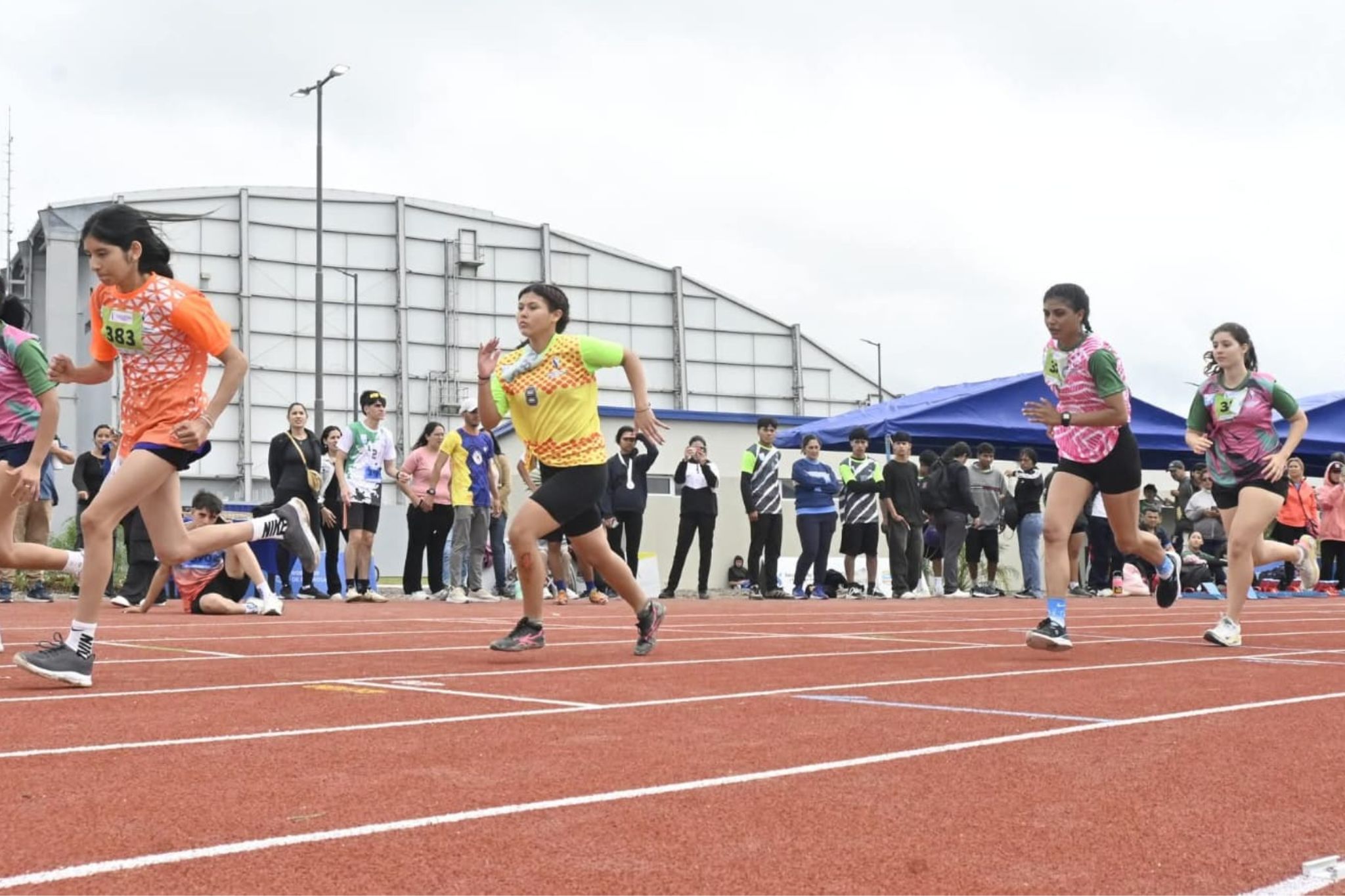 piscina-olimpica (13)