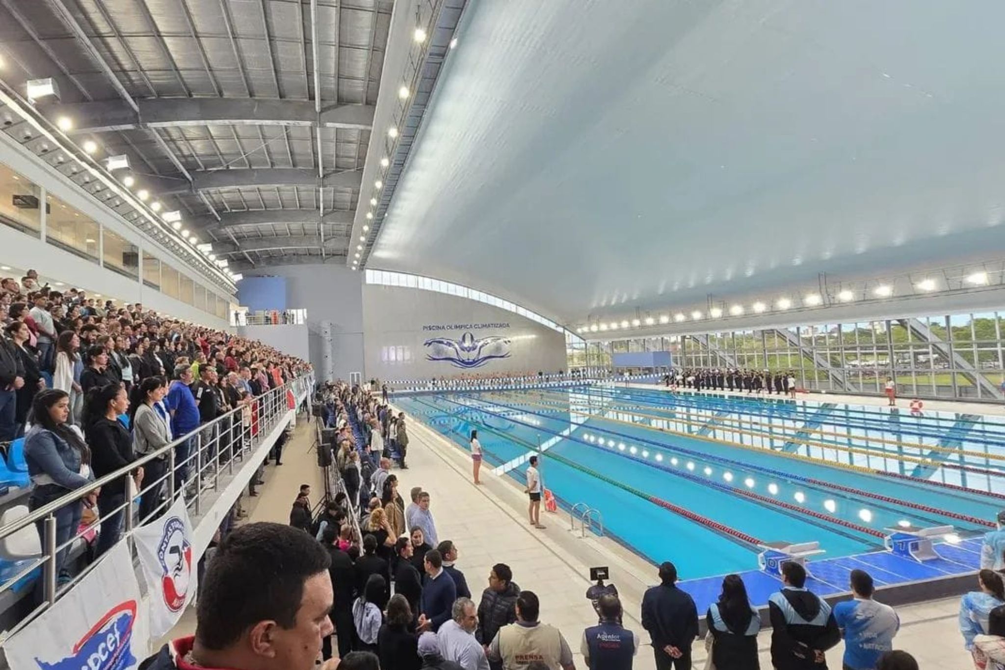 piscina-olimpica (16)