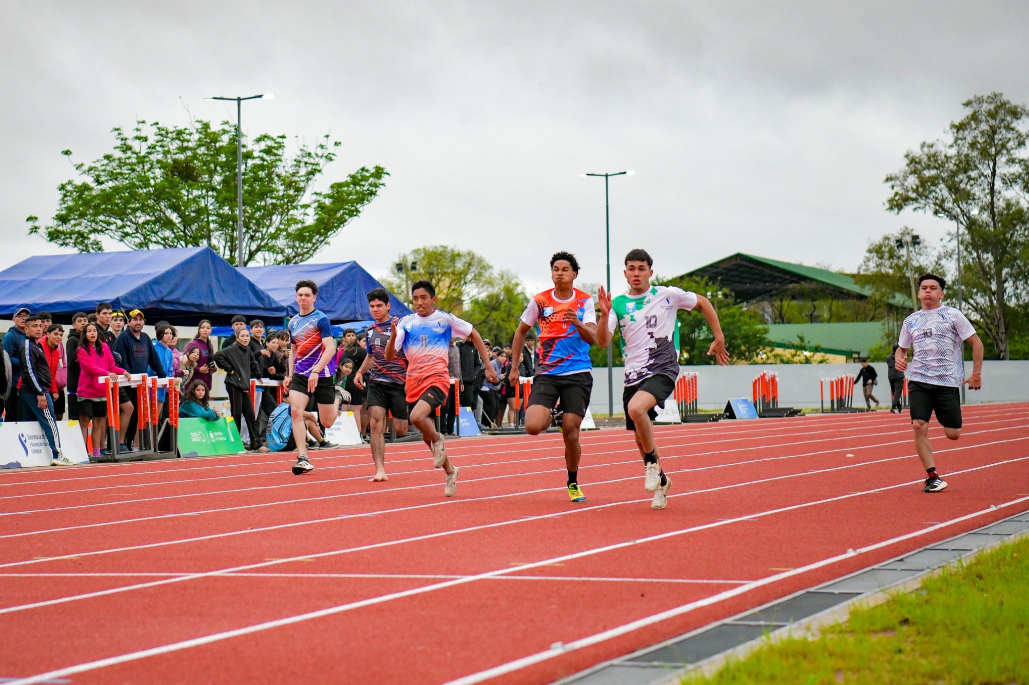 piscina-olimpica (8)