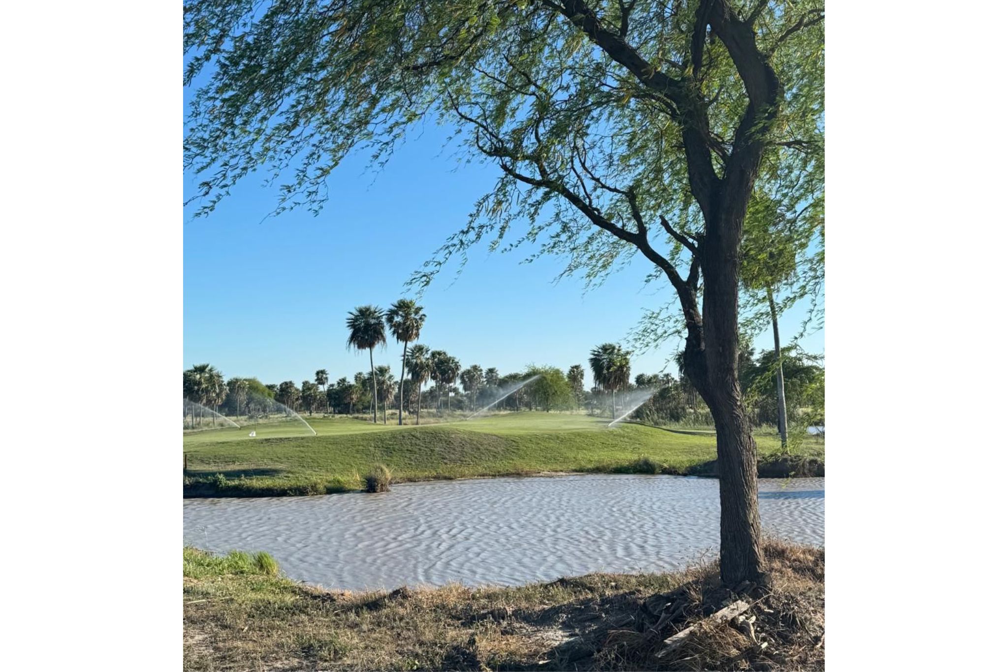 pileta-ing-juarez (2)