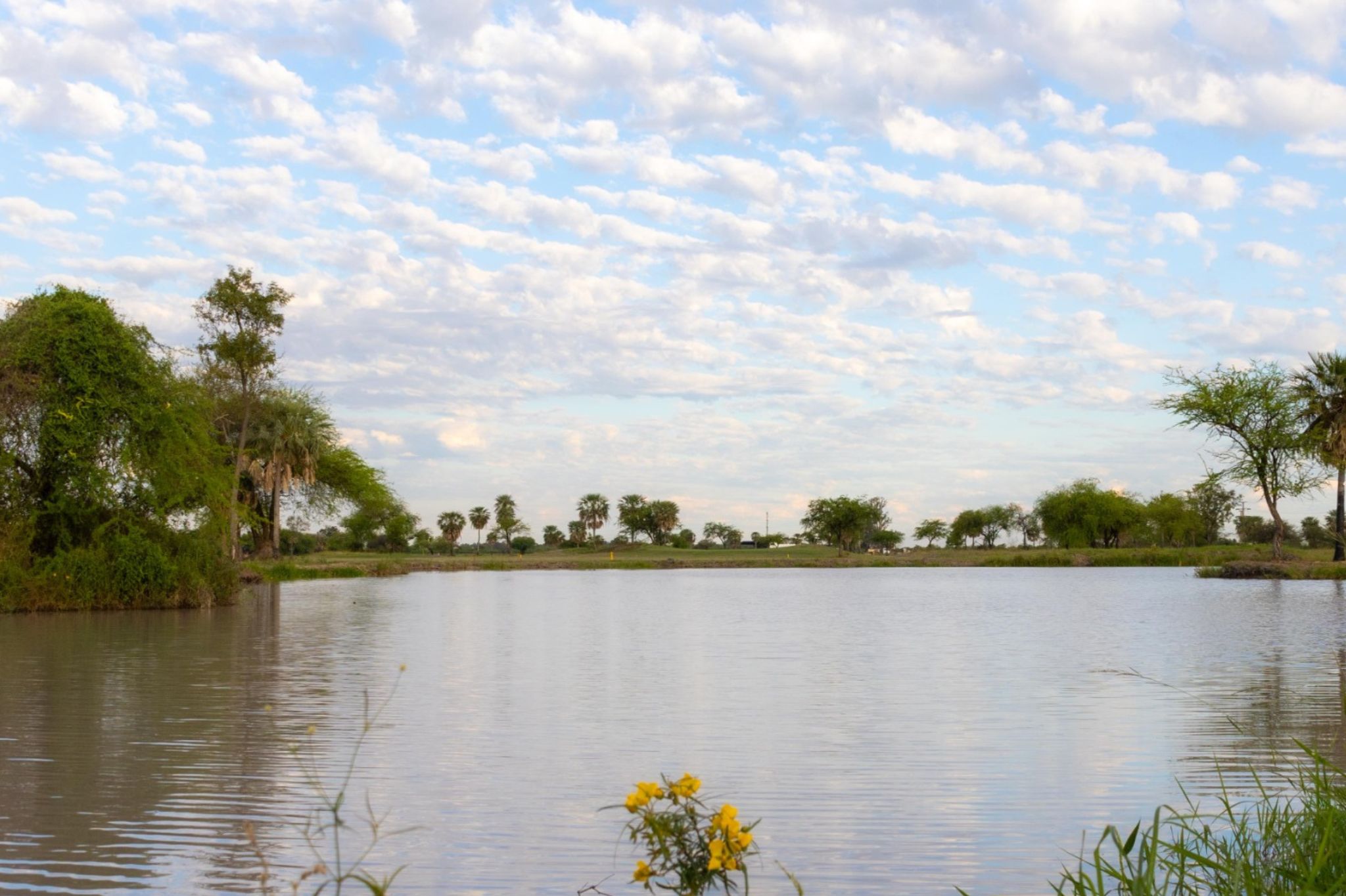 pozo-del-tigre-camping-monte-lindo (4)