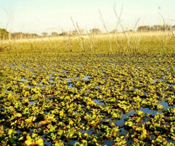 circuito-oeste-reserva-natural