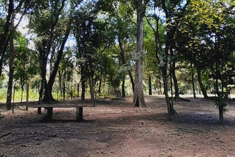 loma-monte-lindo (2)