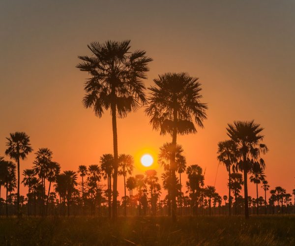 portada-parque-pilcomayo-5