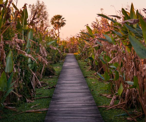 portada-parque-pilcomayo