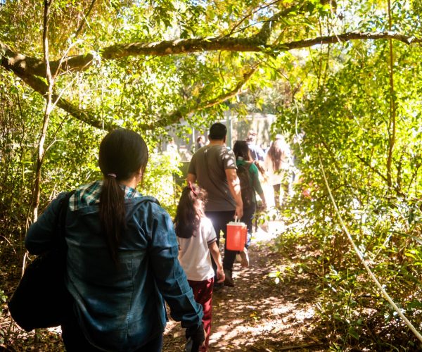 reserva-guaycolec (15)