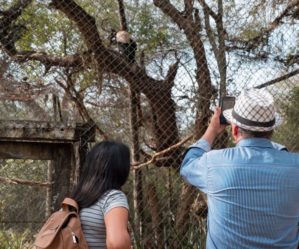 reserva-guaycolec (18)