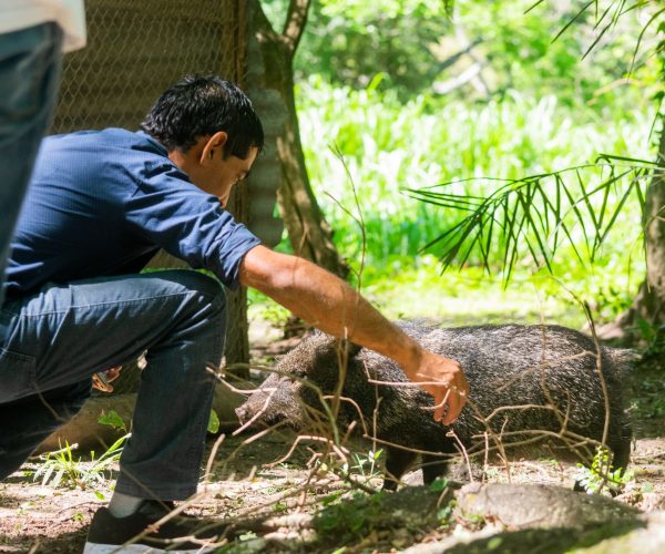 reserva-guaycolec (19)