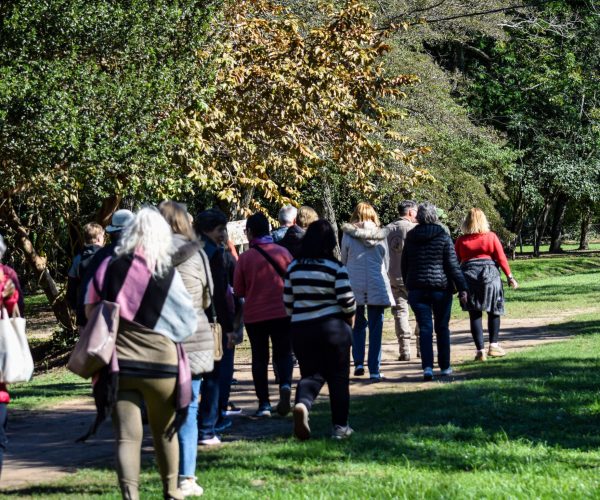 reserva-guaycolec (2)