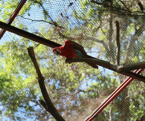 reserva-guaycolec (22)