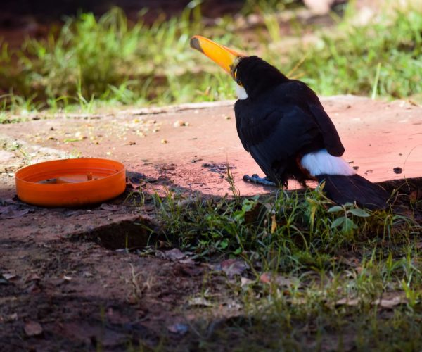 reserva-guaycolec (24)