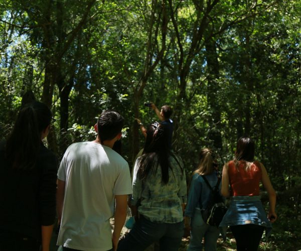 reserva-guaycolec (4)