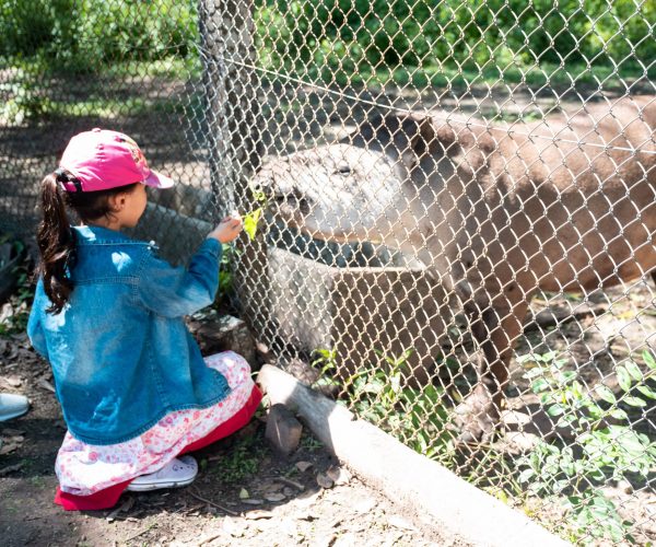 reserva-guaycolec (6)