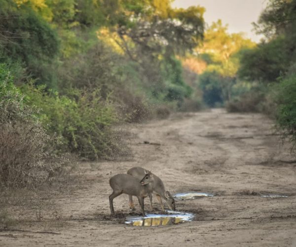 reserva-natural-formosa (2)
