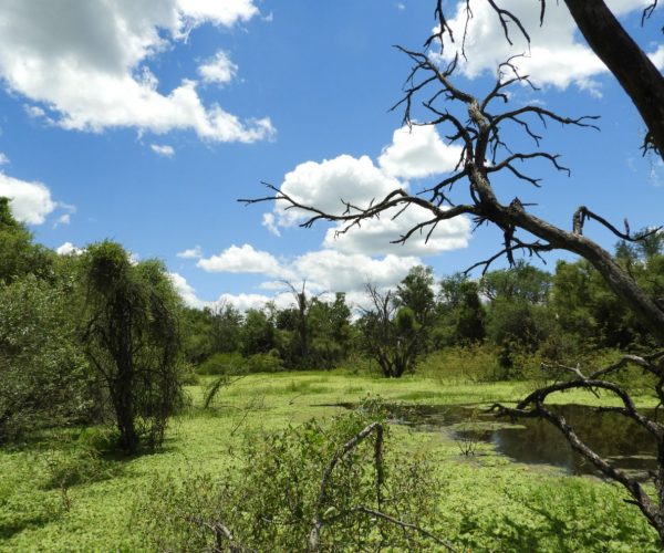 reserva-natural-formosa (3)