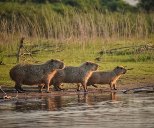 reserva-natural-formosa (4)