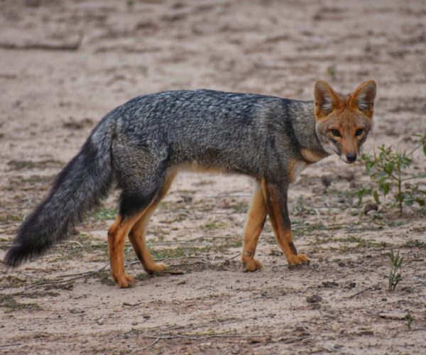 reserva-natural-formosa (5)