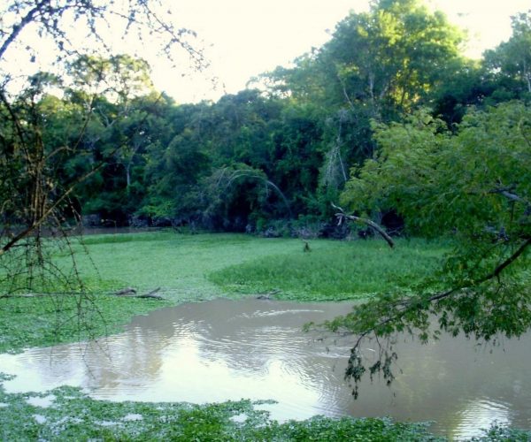 reserva-natural-formosa (7)